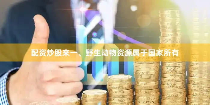 配资炒股来一、野生动物资源属于国家所有