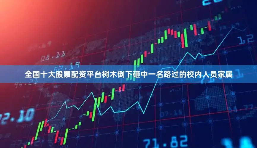 全国十大股票配资平台树木倒下砸中一名路过的校内人员家属