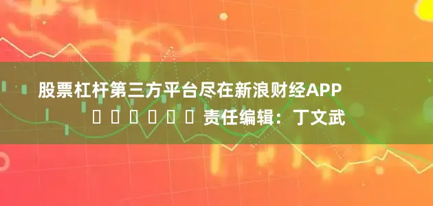 股票杠杆第三方平台尽在新浪财经APP            						责任编辑：丁文武